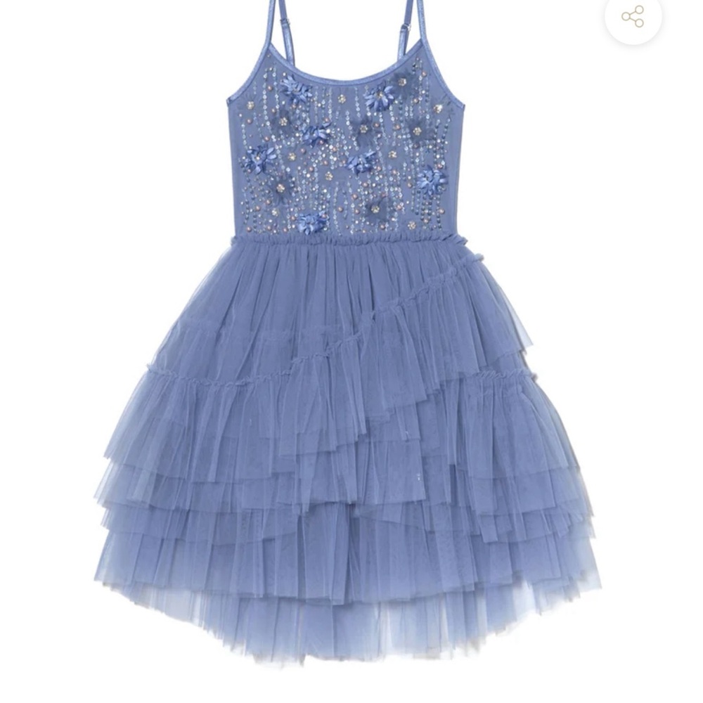 Violet Tulle Dress with Floral Embellishments (4T-5T)
